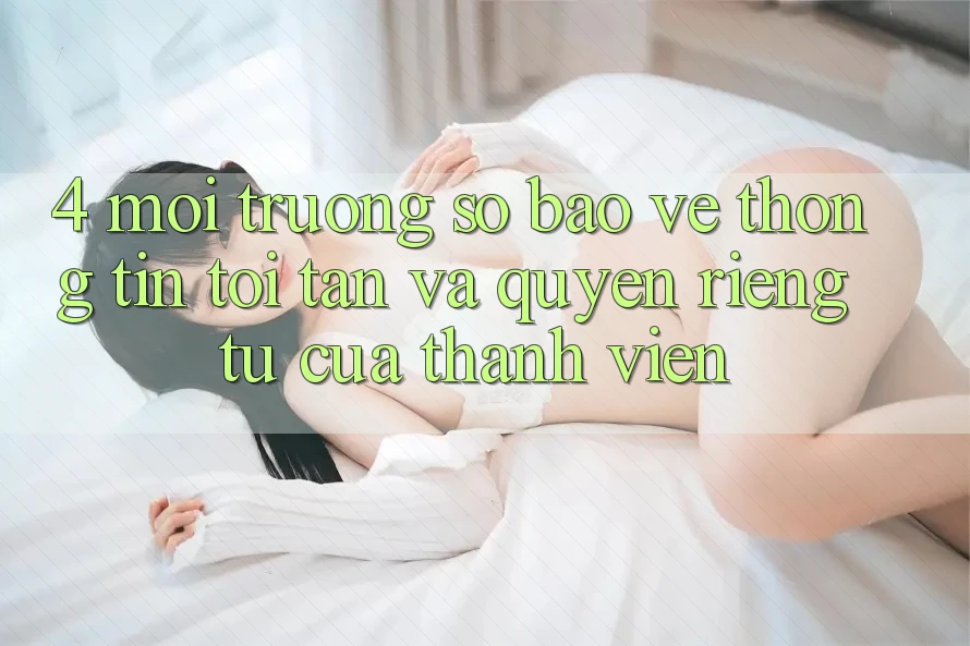 4. Môi trường số Bảo vệ thông tin Tối Tân Và Quyền Riêng Tư Của Thành viên