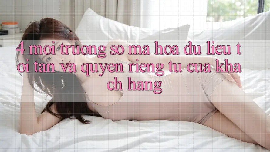 4. Môi trường số Mã hóa dữ liệu Tối Tân Và Quyền Riêng Tư Của Khách hàng 4. Môi trường số Mã hóa dữ liệu Tối Tân Và Quyền Riêng Tư Của Khách hàng