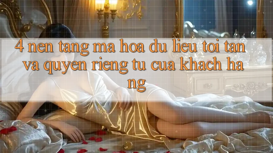 4. Nền tảng Mã hóa dữ liệu Tối Tân Và Quyền Riêng Tư Của Khách hàng
