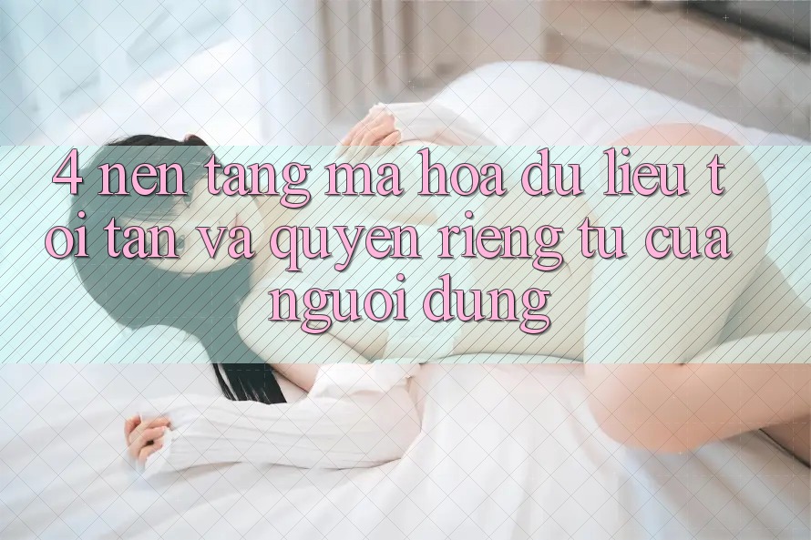 4. Nền tảng Mã hóa dữ liệu Tối Tân Và Quyền Riêng Tư Của Người Dùng 4. Nền tảng Mã hóa dữ liệu Tối Tân Và Quyền Riêng Tư Của Người Dùng