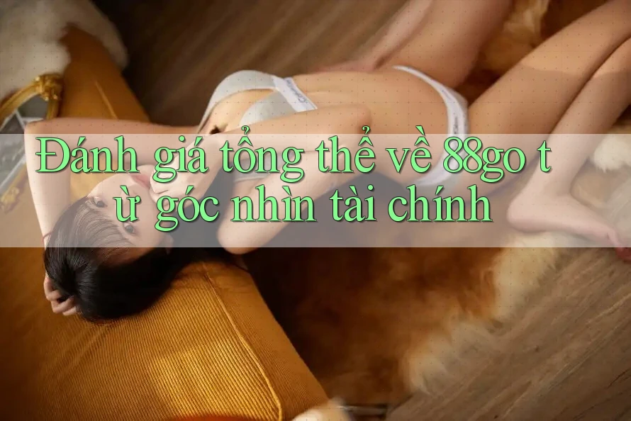 Đánh giá tổng thể về 88go từ góc nhìn tài chính