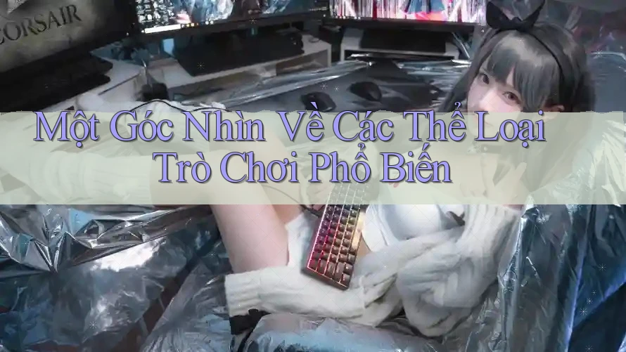 Một góc nhìn về các thể loại trò chơi phổ biến Một góc nhìn về các thể loại trò chơi phổ biến