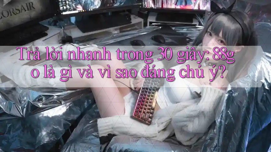 Trả lời nhanh trong 30 giây: 88go là gì và vì sao đáng chú ý?